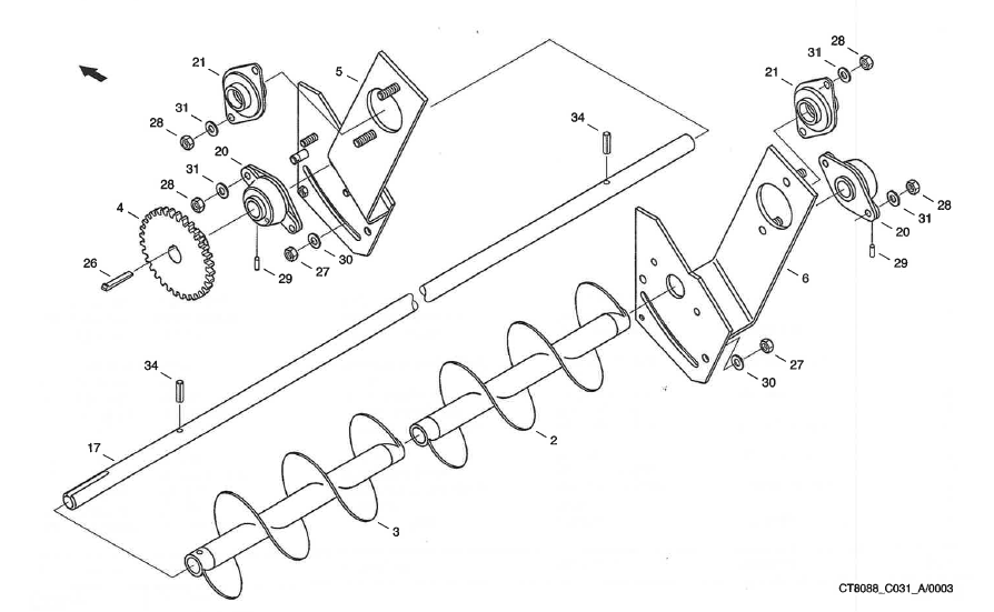 CF80_2000_C031_Verteilschnecke_Hang