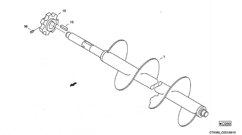 CF80_2000_C051_Koernerschnecke