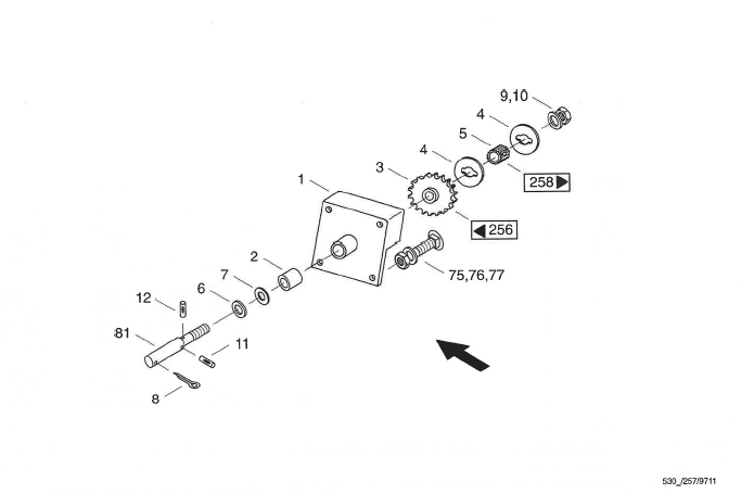 530_1996_257_Ausloesewelle
